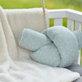 Mousseline menthe Pissenlits