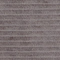 Coton côtelé épais gris